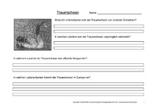 Arbeitsblatt-Trauerschwäne-1.pdf
